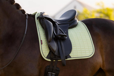 LeMieux Suede Dressage Square Macaron| Online For Equine