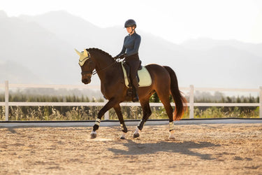 LeMieux Suede Dressage Square Macaron| Online For Equine