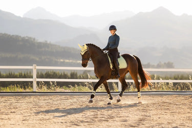 LeMieux Suede Dressage Square Macaron| Online For Equine