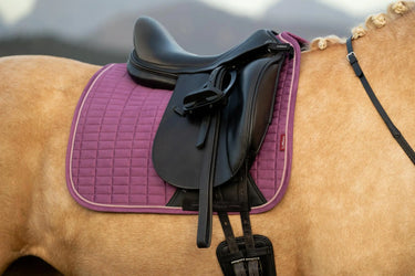 LeMieux Suede Dressage Square Mallow| Online For Equine