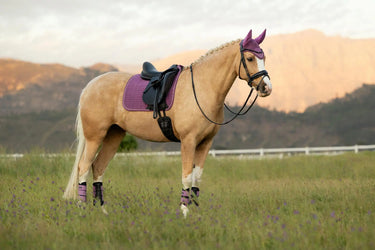 LeMieux Suede Dressage Square Mallow| Online For Equine