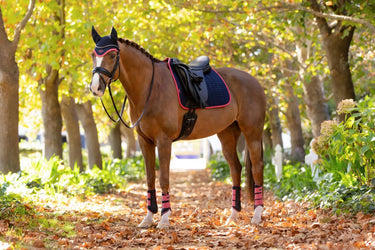 LeMieux Suede Dressage Square Navy/Cranberry| Online For Equine