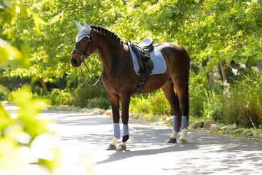 LeMieux Suede Dressage Square Powder Blue| Online For Equine