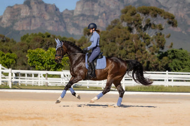 LeMieux Suede Dressage Square Powder Blue| Online For Equine