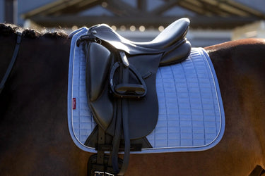 LeMieux Suede Dressage Square Powder Blue| Online For Equine
