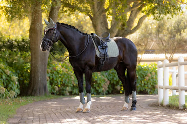 LeMieux Suede Dressage Square Rosemary| Online For Equine