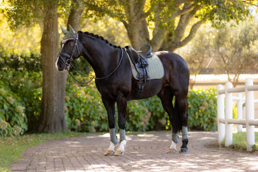 LeMieux Suede Dressage Square Rosemary| Online For Equine