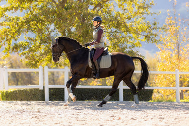 LeMieux Suede Dressage Square Rosemary| Online For Equine