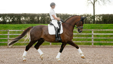 LeMieux Suede Dressage Square White| Online For Equine