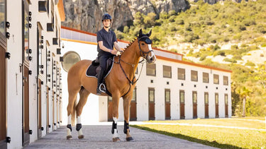 LeMieux Suede EuroJump Square Black| Online For Equine