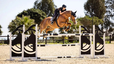 LeMieux Suede EuroJump Square Grey| Online For Equine