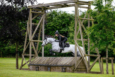 LeMieux Suede GP Square Black| Online For Equine