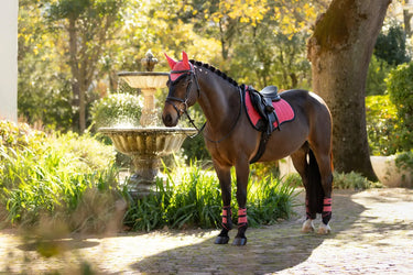 LeMieux Suede GP Square Cranberry| Online For Equine