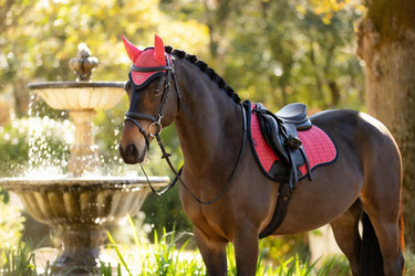 LeMieux Suede GP Square Cranberry| Online For Equine