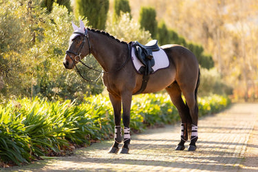 LeMieux Suede GP Square Lilac| Online For Equine