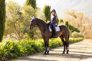 LeMieux Suede GP Square Lilac| Online For Equine