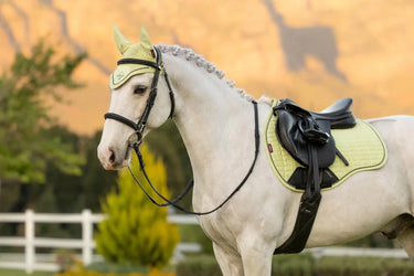 LeMieux Suede GP Square Macaron| Online For Equine