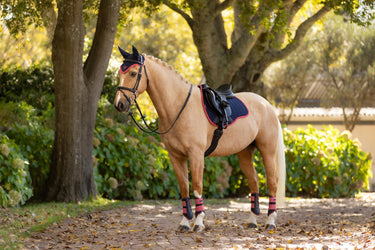 LeMieux Suede GP Square Navy/Cranberry| Online For Equine