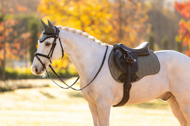 LeMieux Suede GP Square Rosemary| Online For Equine