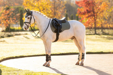 LeMieux Suede GP Square Rosemary| Online For Equine