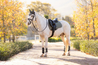 LeMieux Suede GP Square Rosemary| Online For Equine