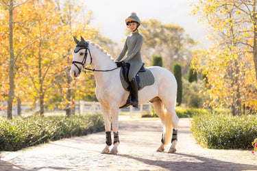 LeMieux Suede GP Square Rosemary| Online For Equine