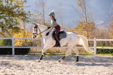 LeMieux Suede GP Square Rosemary| Online For Equine