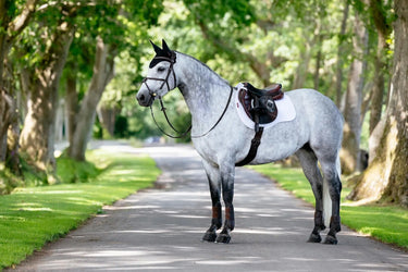 LeMieux Suede GP Square White| Online For Equine