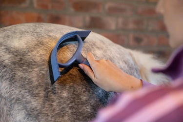 LeMieux Sweat Scraper Powder Blue| Online For Equine