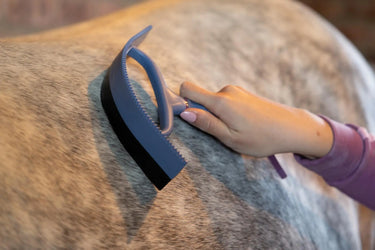LeMieux Sweat Scraper Powder Blue| Online For Equine