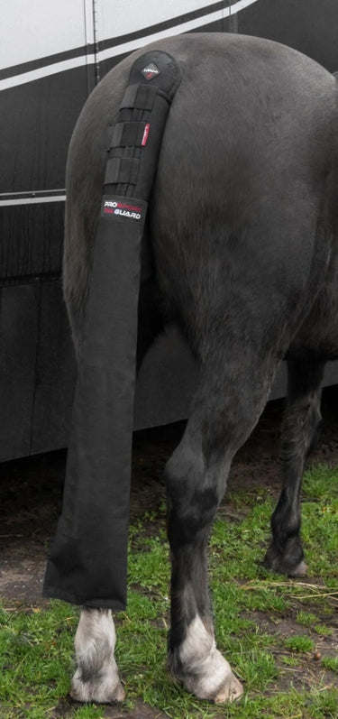 Buy LeMieux Tail Guard with Bag - Size One Size - Colour Black| Online for Equine