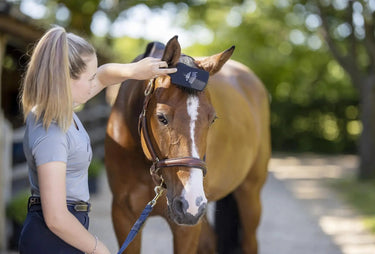 LeMieux Tangle Tidy Black| Online For Equine