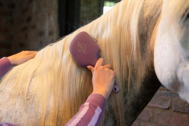 LeMieux Tangle Tidy Mallow| Online For Equine