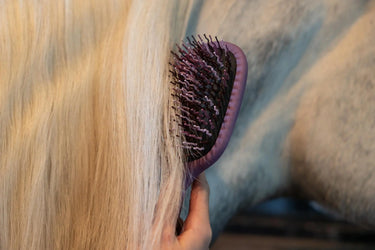 LeMieux Tangle Tidy Mallow| Online For Equine
