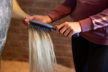 LeMieux Tangle Tidy Powder Blue| Online For Equine