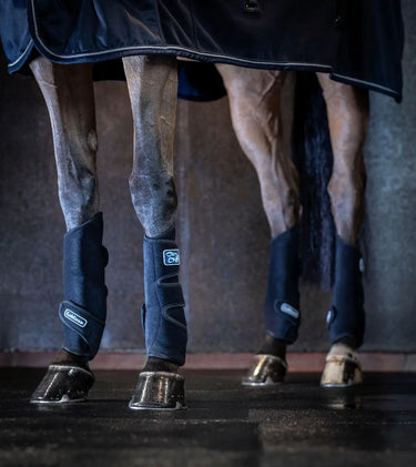 Buy LeMieux Tendon Chill Boots-One Size-Black| Online for Equine