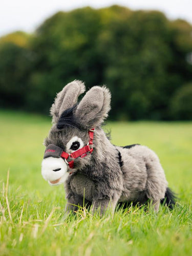 LeMieux Toy Donkey Daphne| Online For Equine