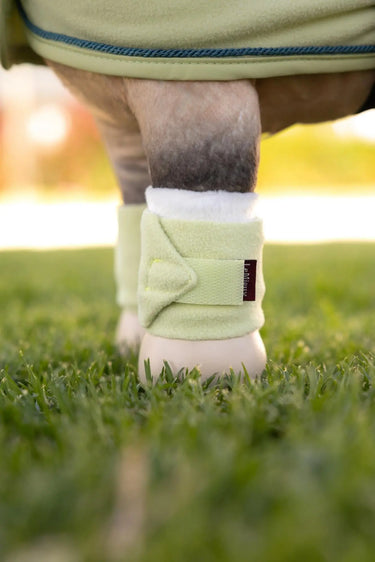 LeMieux Toy Pony Bandages Macaron| Online For Equine