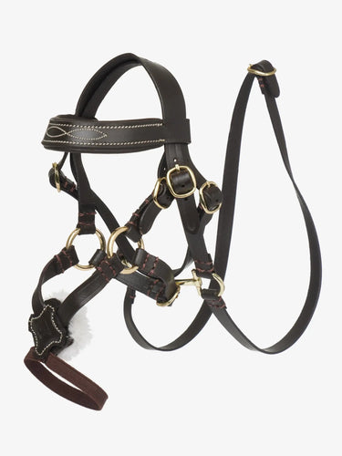 LeMieux Toy Pony Grackle Bridle Brown| Online For Equine