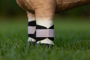 LeMieux Toy Pony Grafter Boots Lilac| Online For Equine