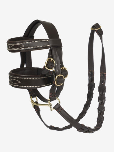 LeMieux Toy Pony Hunter Bridle Brown| Online For Equine