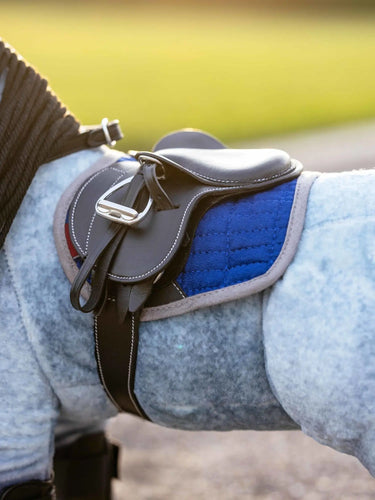 LeMieux Toy Pony Jump Pad Benetton Blue| Online For Equine