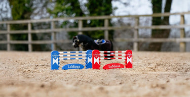 LeMieux Toy Pony Jump Set Benetton/Chilli/White| Online For Equine