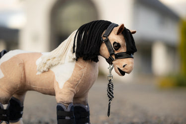 LeMieux Toy Pony Leather Headcollar & Leadrope Black| Online For Equine