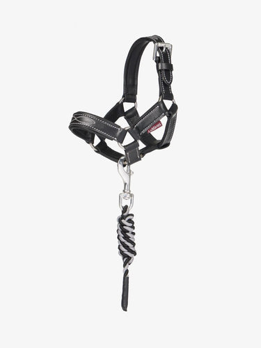 LeMieux Toy Pony Leather Headcollar & Leadrope Black| Online For Equine
