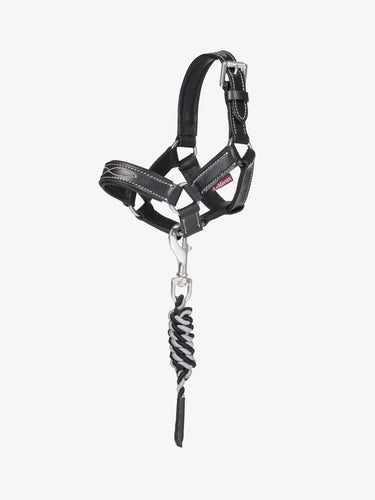 LeMieux Toy Pony Leather Headcollar & Leadrope Black| Online For Equine