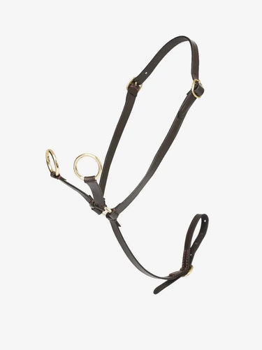 Buy Digby & Fox Bandana | Online for Equine