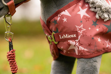 LeMieux Toy Pony Printed Turnout Rug Spiced Earth| Online For Equine