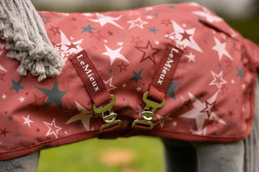 LeMieux Toy Pony Printed Turnout Rug Spiced Earth| Online For Equine