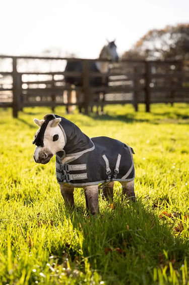 Buy LeMieux Toy Pony Storm-Tek Rug| Online for Equine
